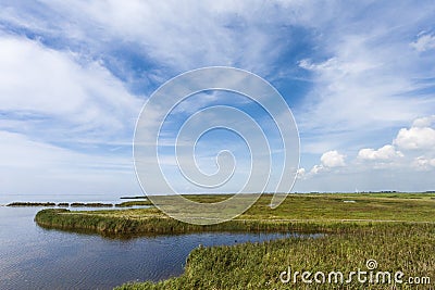 Landschap in Warkumerwaard; Landscape at Warkumerwaard Stock Photo