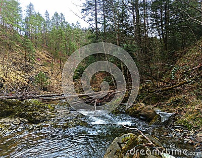 Landskape river. Wilderness. River flow. Waterfall. Stock Photo