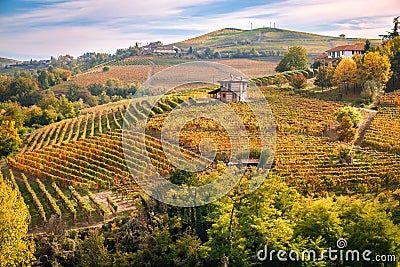 Langhe e Roero vineyards hills autumn landscape Stock Photo