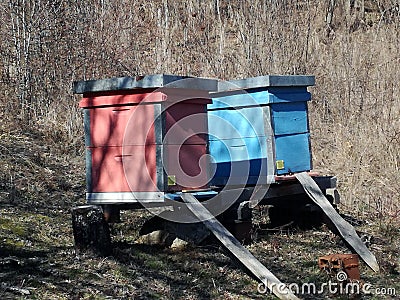 Langstroth-Ruth beehives Stock Photo