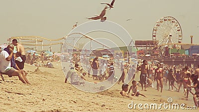 Langzame motie van zeemeeuwen en strandgoers Langzame motie van zeemeeuwen en strandgoers