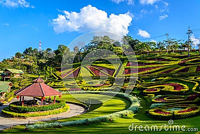 Lanscape of garden park at doi mae salong Stock Photo
