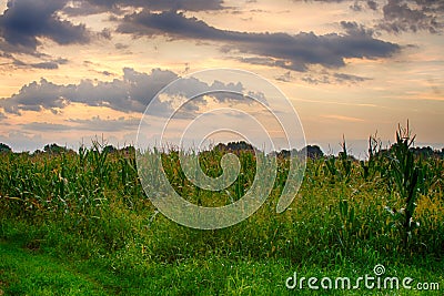 Landscapes at dawn with sunrise, clouds. Stock Photo