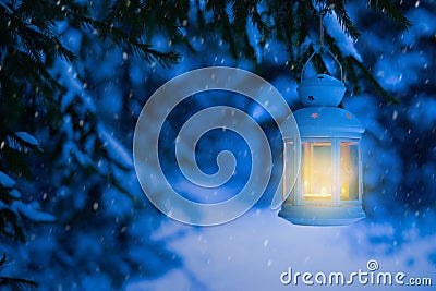 Lantern for Christmas in the woods under the tree. Lantern with Stock Photo