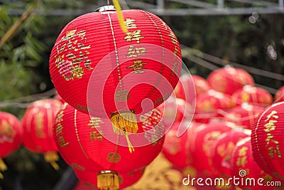 lantern lamps of 2019 Chinese new year Stock Photo