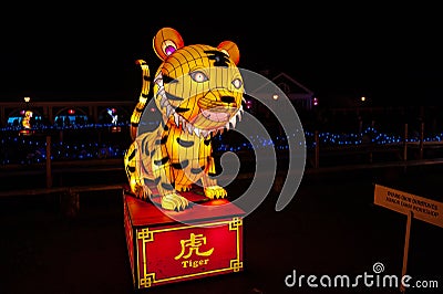 Lantern in the shape of a symbol of the year - Tiger. Editorial Stock Photo