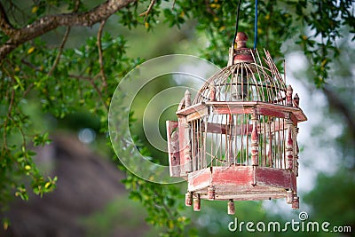 Lanterns hanging from the trees to decorate at sunset bird cage Stock Photo