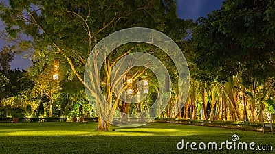 Lanterns thai style hanging from tree to decorate. Lamp from wicker bamboo from tree to decorate.Thailand Stock Photo