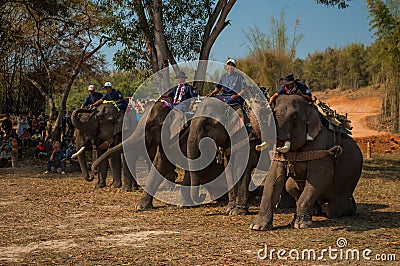 Lao Elephant Festival, Hongsa, Laos. Editorial Stock Photo