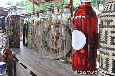 Lao Rice Whiskey with Snakes and Scorpions, Laos Stock Photo