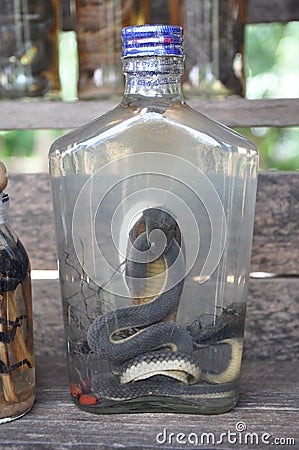 Lao Rice Whiskey with Snakes and Scorpions, Laos Stock Photo