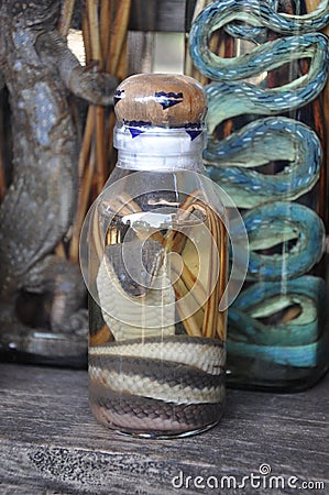 Lao Rice Whiskey with Snakes and Scorpions, Laos Stock Photo