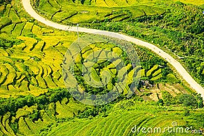 Laocai Vietnam Vietnam Paddy fields, terraced culture, Sapa, Vietnam Stock Photo