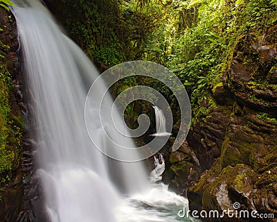 LaPaz Waterfall Gardens - Landscape Stock Photo