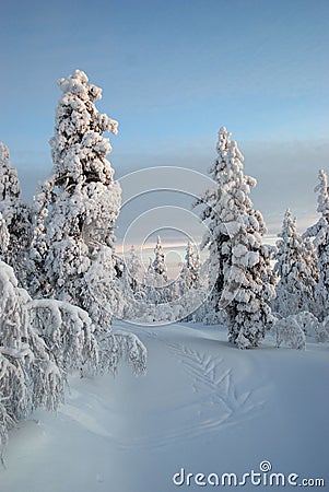 Lapland snow Stock Photo