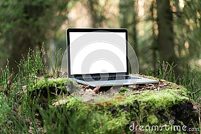 Laptop outside concept. Stock Photo