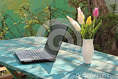 The laptop stands on a green wooden table in the garden. White tulips in a white vase. Stock Photo