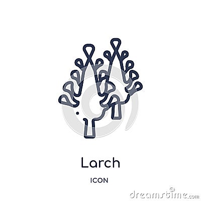 Larch icon from nature outline collection. Thin line larch icon isolated on white background Vector Illustration