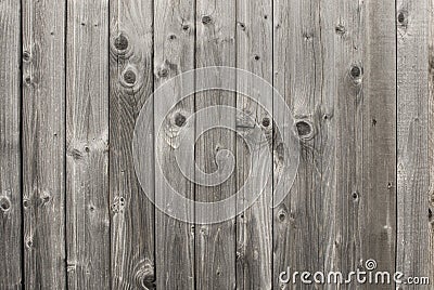 Larch wood Stock Photo