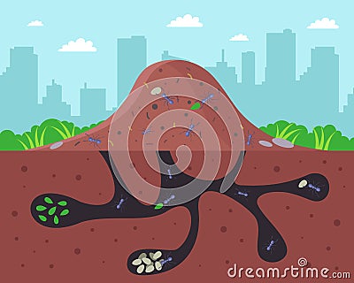 a large anthill with passages underground. Vector Illustration