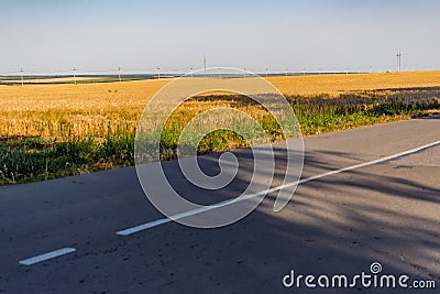 Large areas of fields with wheat and barley. Russia, Rostov region, roadways near a grown crop of Golden ears Stock Photo