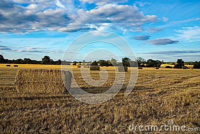 Large bales of Hay just harvested in High Wych, Hertfordshire Stock Photo