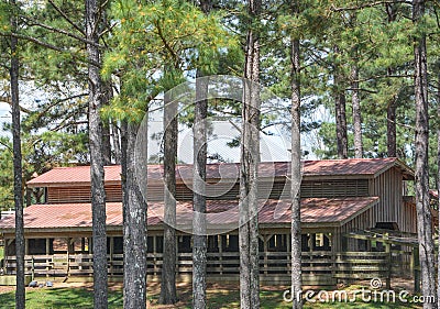 A large Barn on a farm in the forest of Collins, Mississippi Stock Photo