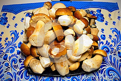 A large basket of mushrooms collected in the autumn forest. Stock Photo