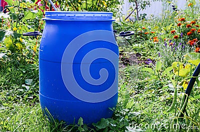 Large blue plastic garden barrel Stock Photo