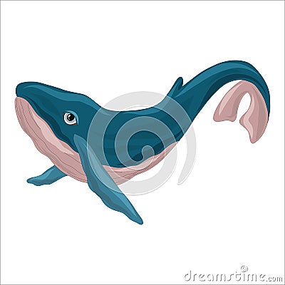 A large blue whale with very expressive realistic eyes. Inhabitant of the seas and oceans. Vector Illustration