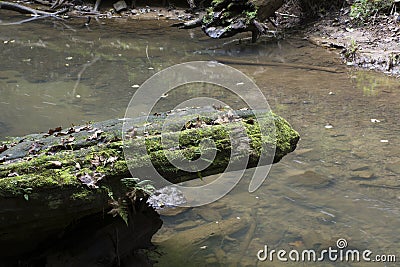 Large boulder next to stream Stock Photo