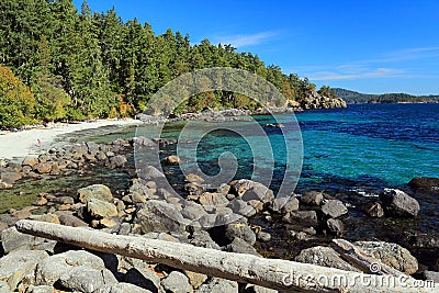 Sandy Beach and Clear Water at Aylard Farm in East Sooke Regional Park, Vancouver Island, British Columbia, Canada Stock Photo