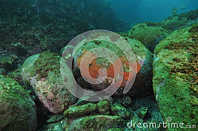 Large boulders on sea bottom Stock Photo