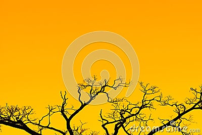 A large branching tree on an orange color background Stock Photo