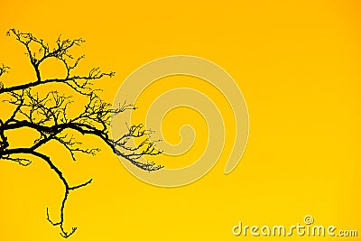 A large branching tree on an orange color background Stock Photo