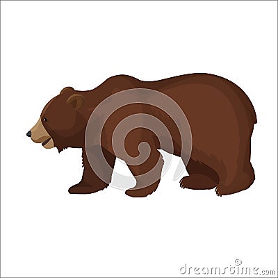 Large brown bear side view close-up graphic icon on white Vector Illustration