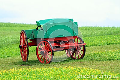 Large buckboard Stock Photo