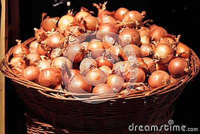 Onions in large wicker basket Stock Photo