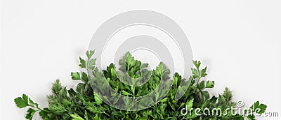 A large bunch of fresh organic green parsley, dill on a white background. Stock Photo