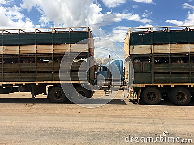 Large cattle trailer road train in Queensland Australia Editorial Stock Photo