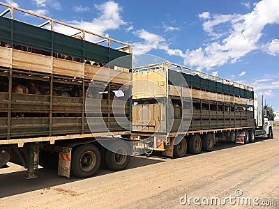 Large cattle trailer road train in Queensland Australia Editorial Stock Photo