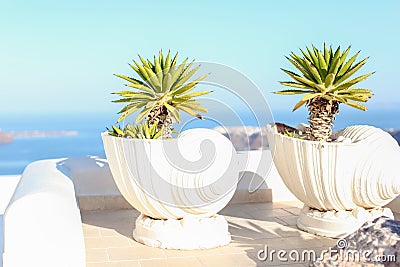 Large ceramic with plant greek island scene on Stock Photo