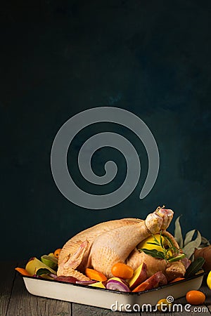 A large chicken stuffed with an apple with vegetables and citrus fruits, copy space Stock Photo
