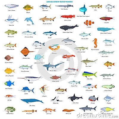 Large Collection of Fishes of the World Vector Illustration