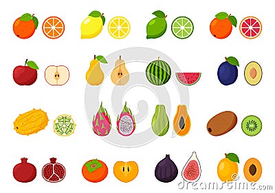 Large collection of tropical, exotic, citrus fruits. Icon set of cutaway fruits. Pairs of fruit, whole and cut in half. Flat Cartoon Illustration