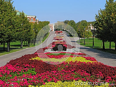 Large colorful flowerbed Stock Photo