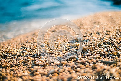 Large coral sand on the beach. Sea in the background. Old dead corals Stock Photo