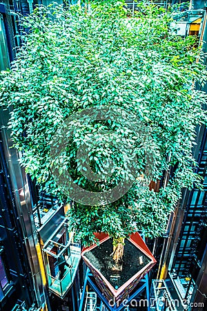 Large cruise ship lobby with real live green tree suspended Stock Photo