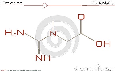 Molecule of Creatine Vector Illustration