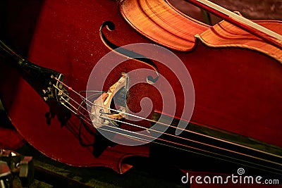 large double bass lies on the stage Stock Photo